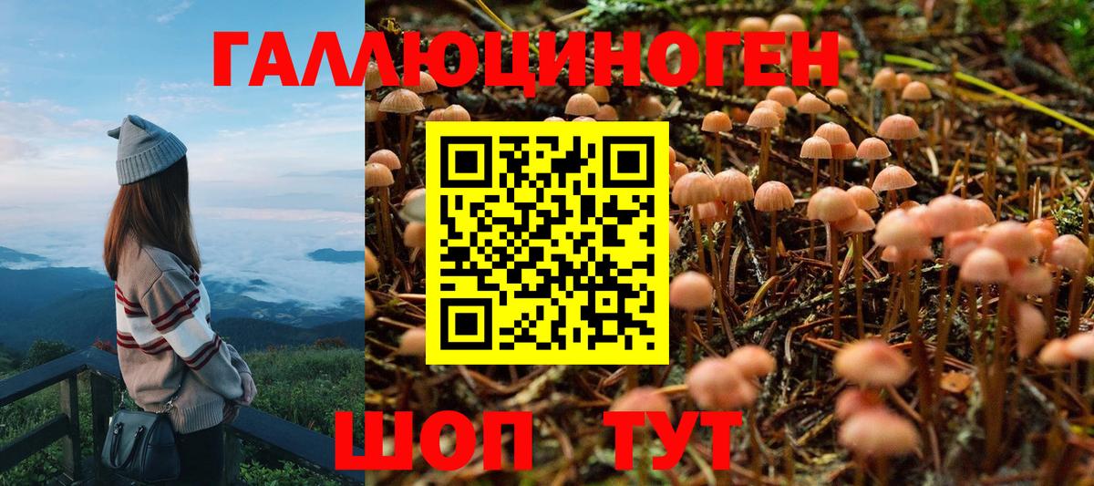 Псилоцибиновые грибы мицелий  Псилоцибиновые грибы Magic Shrooms  Александров  Вход с VPN 